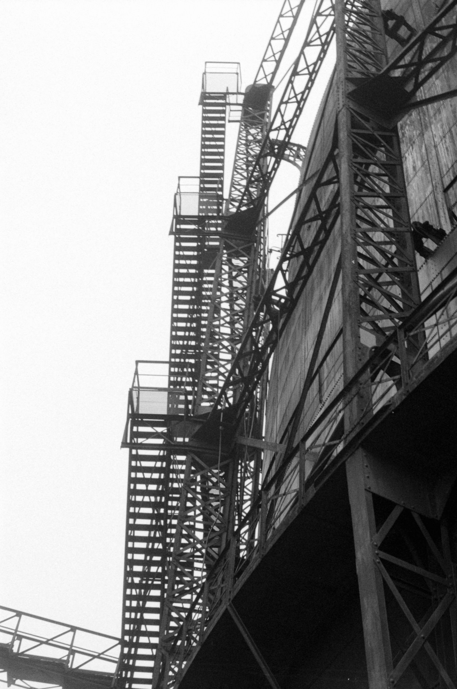 AHP F1994 11 004 sc250521 img27 NLP